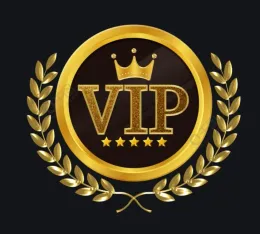 DHgate aangepaste betaling VIP-links