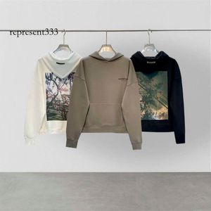 dhgate essentialhoody fog Double Line ESSENTIALS Herfst/winter Hoodie heren hoodies Bloemen High Street Loszittend paar