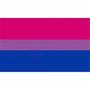 DHL Shipping Bisexual Pride 90x150cm Pink Blue Rainbow Home Decor Gay Friendly Flag Banniners 3x5 pieds 0423