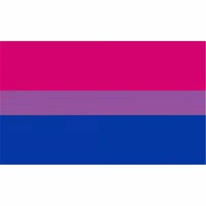 DHL Shipping Bisexual Pride Flag LGBT 90x150cm Pink Blue Rainbow Flag Home Decor Gay Friendly Flag Banniners 3x5 pieds 0413