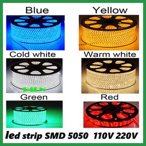 DHL Wasserdichtes LED-Streifenlicht AC 110 V 220 V SMD5050 60 LED/m Beleuchtung