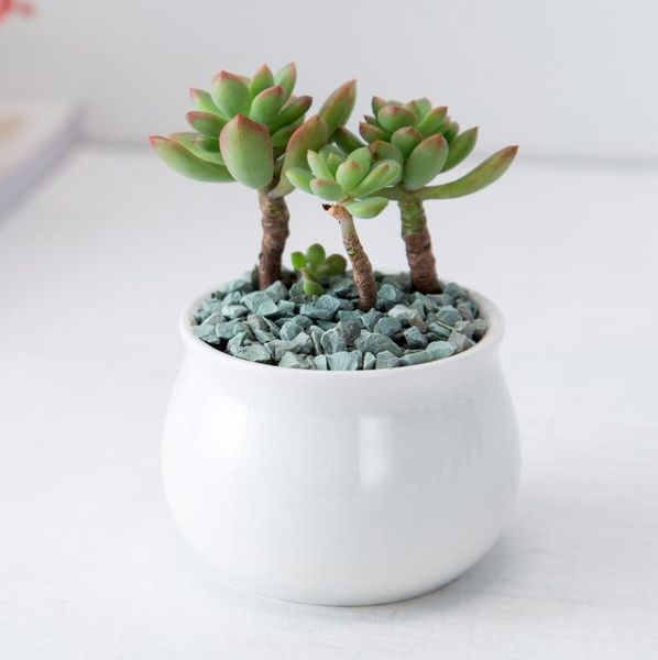 DHL blanc en céramique petit pot de fleurs succulentes mini table plante pot culture pot de fleur décoration de la maison bonsaï pots pour plantes vertes SN3382