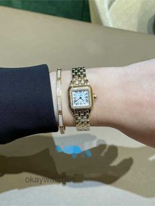 Cadran fonctionnant des montres automatiques Carter Cheetah Watch Quartz 18K Rose Gold Set Womens Small WJPN004