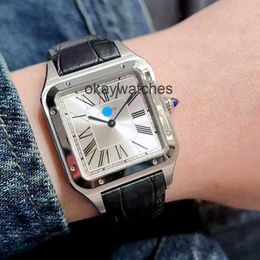Dials Working Automatic Watches Carter New Sandoz Series Quartz Movement Watch Mens Swiss WSSA0022