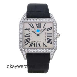 Cadran fonctionnant les montres automatiques Carter Watch Mens 18K Platine Backset Diamond Mechanical W2007051