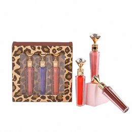 Diamd Tube Liquide Rouge à lèvres Set Private Label Lipgloss Maquillage Kit de maquillage pour les lèvres Logo personnalisé Q3On #