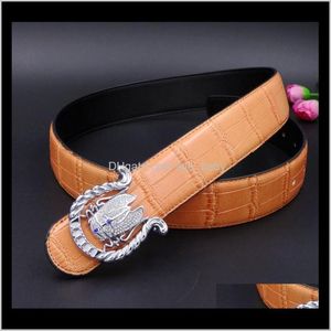 Diamond Cicada Anima Men Designer Belt Crocodile Leather Fashion Luxe Glittering 3D Smooth Buckle 125cm Kmv8n Belts Qehdw 2486