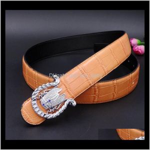 Diamant cicada animal homme concepteur ceinture crocodile cuir mode luxe luxe étincelant 3d boucle lisse 125 cm kmv8n ceintures qehdw 220y