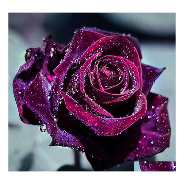 Diamant Peinture 5D Diy Adt Enfants Rose Kit Strass Art Décoration Pour Les Débutants 11.8X11.8 Pouces Rrd12792 Drop Delivery Home Ga Otzqx