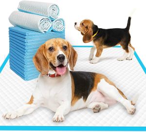 Luiers super absorberende huisdierluier Dog Training Pee -pads Wegwerp gezonde luiermat voor katten honden luiers Quickdry Surface Mat