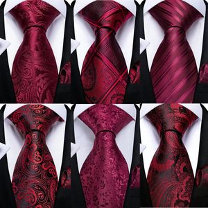 DiBanGu hommes cravate vin rouge Paisley Design soie mariage pour Hanky bouton de manchette ensemble mode affaires fête goutte 240122