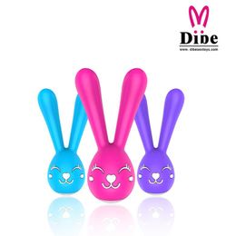 DIBE Oplaadbare Konijn Clitoris Vibrator 6 Snelheden Tepel Massager Clitoris Stimulator Sex Producten Vibrator Speeltjes voor Vrouwen Y2627398