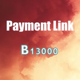 Opción diferente enlace de pago especial costo de envío tarifa de costo adicional región remota personalizado B13000 caja de embalaje pedido de embalaje