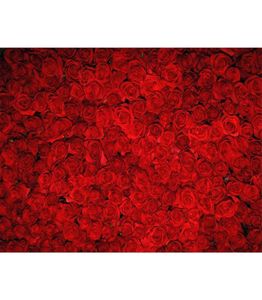 Digitale gedrukte rode rozen achtergrond voor Pography Valentine039s dag bloemen muur bruiloft verjaardagsfeestje Po Booth achtergrond5161571