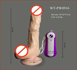 Godes femmes sextoys bite vibrante et grâce à une ventouse sur le produit basesex WTPW09166212439