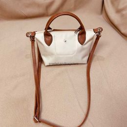 dinertas Forest-stijl Hualongxiang mini nylon dumpling met dubbel handvat voor draagbare dames crossbody minimalistische waterdichte opvouwbare schouder trendy