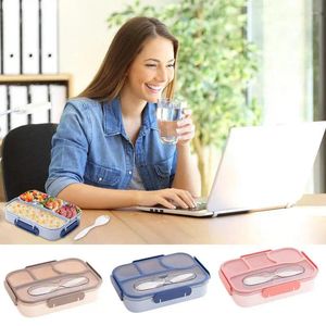 Serviesgoed Gescheiden Lunchbox Gedeelte Snackcontainer 38,8 oz Magnetronveilig Eco-vriendelijk Verdeelde accessoires