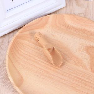 Ensembles de vaisselle 3 PCS Mini Scoop Wooden Table Voline prendre le bain d'assaisonnement Salle Salt Salt Bamboo pour sels