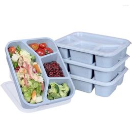 Ensembles de vaisselle 4 packs BPA Meal Préparez des contenants de déjeuner en plastique avec compartiments Boîte à bento réutilisable pour les enfants / tout-petit
