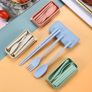 Dijkartikelen Sets Creative Wheat Straw Bestelbox Set Plastic Knife Fork en Spoon Student Travel Outdoor Portable Cadeau