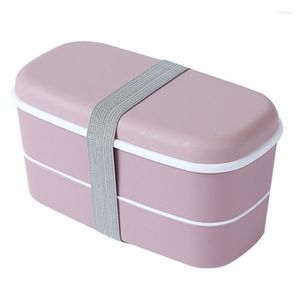 Servies Sets Magnetron 2 Laags Lunchbox Met Compartimenten Lekvrije Bento Geïsoleerde Container Roze