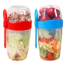 Servies Sets Salade Cups Met Deksels En Vork Ontbijtkom School Lunchbox Opslag Taper