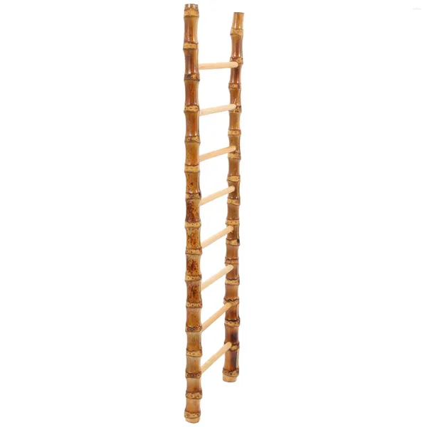 Ensembles de vaisselle Sashimi Bamboo Ladder Plant Home Decorations Po Props Modèles Ornements de bureau Mini Child House
