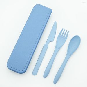 Diny Sets Travel Cutlery Portable Box Japan Style Tarwes Straw Knife Vork lepels Student Outdoor Picknick servies