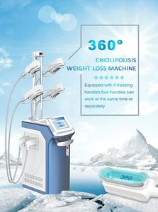 Rechtstreeks effect 360 ° Omringende bevriezing Cryo cellulitis verminderen afslanken 4 handgrepen bevriezing dikke cryolipolyse vormgeven gewichtsverlies body slanke machine