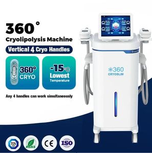 Effectuez directement la cryolipolyse Réduction de la graisse de l'estomac Enlèvement de la graisse de l'estomac Machine de congélation Cryo Sculpting machine de perte de poids avec 4 poignées machine de forme de cavitation sous vide