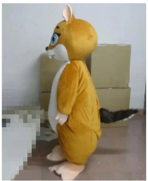 Remise Usine un écureuil mascotte Costume déguisement anniversaire fête d'anniversaire Costume de noël carnaval unisexe adultes tenue