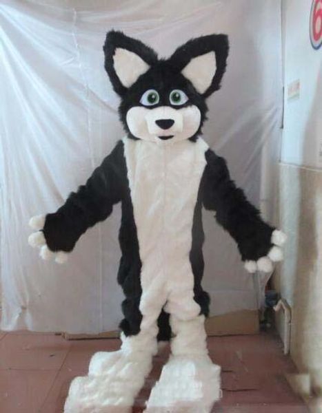 Remise Usine vente Border Collie Husky chien mascotte Costume Halloween noël anniversaire célébration carnaval robe