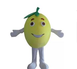 Korting fabriek verkoop fruit grapefruit kostuum outfits volwassen vrouwen mannen cartoon mascotte kostuum voor commerciële activiteit van het carnavalfestival