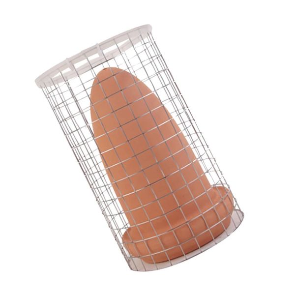 Seau de frai de Discus, incubateur de reptiles, cône d'élevage d'aquarium, fourniture de réservoir de poissons en argile 240226