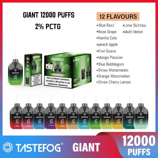 Cigarette jetable Chine Vape 12000 Puff Vaper Cigarette électronique 12K Puffes Desechables Vapers Tastefog Giant RVB LED LED