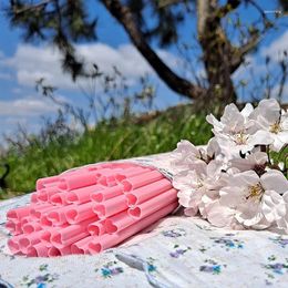 Wegwerpbekers rietjes 20 stks herbruikbaar drinken plastic draagbaar roze rode hart rietje 23 cm koffie bier drankje trouwbar feestbenodigdheden