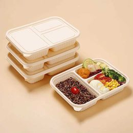 Dîne jetable 10 boîtes à lunch jetables Biodégradables Conteneurs de pré-repas Diviseurs Vide-table Microwave Bento Food Plays with Kitchen Q2405071