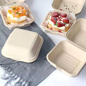 Wegwerpbedrijf 20/40/50pc wegwerp lunchbox/mat Bento Food Container Baking Fruit Burger Cake Ready to Eat Packaging Q240507