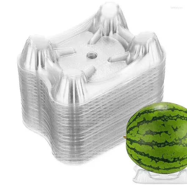 Support de vaisselle jetable, berceaux, panier en plastique, cadre protecteur, citrouille d'eau, plante transparente pour citrouille