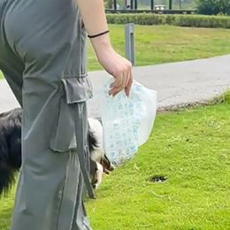 Sac de merde à chiens jetable Sacs poubelles pour animaux de compagnie pour la marche en plein air 231222