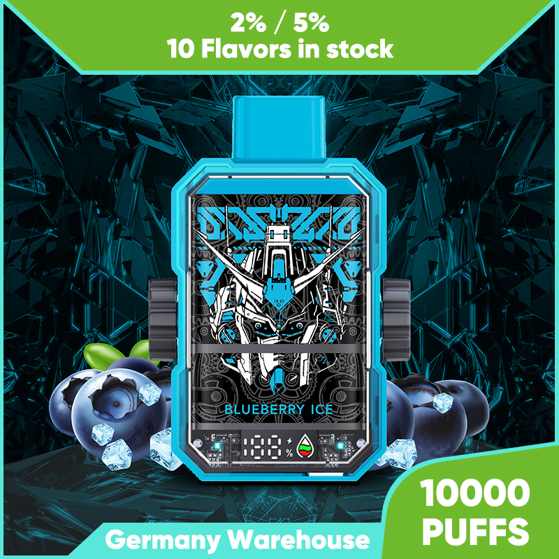 Einweg-E-Zigarette 0 % 2 % 3 % 5 % wiederaufladbare Batterie Mesh Coil 16 ml Gerät Vape Pen Pod