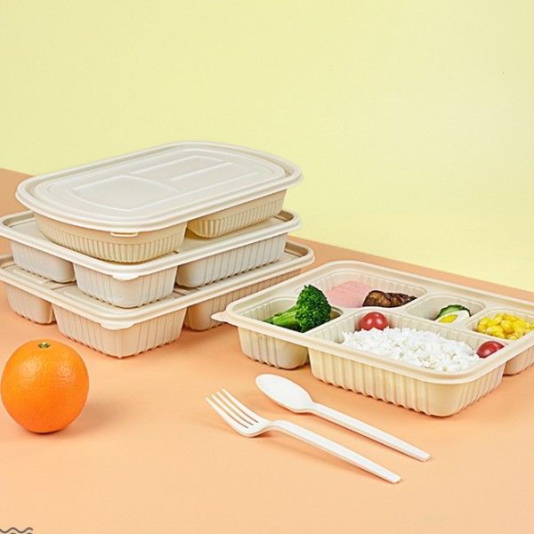 Fiambrera desechable, contenedor de comida para microondas, caja para llevar degradable, caja Bento para ensalada con tapa, vajilla