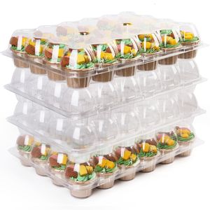 Conteneurs jetables à emporter 24 pièces Cupcake Lot de 10 boîtes en plastique 230714