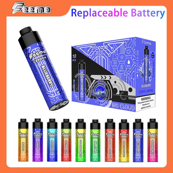 Stylo vape jetable E cig Puff 10000 bouffées gros nuage expédition dans l'UE Feemo Cannon vapes jetables charge de câble de type C avec batterie rechargeable de 0,5 ohm prix d'usine