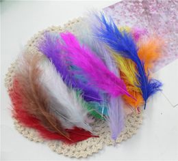 Bricolage à bricolage GOOSE FEATHER Rainbow Feather Balon Robe de mariée DIY ACCESSOIRES DÉCORATIFS PLIATS2848006