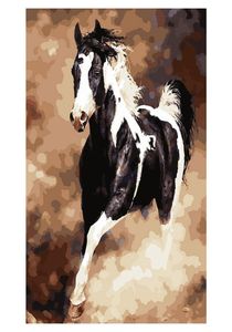 Pintura al óleo DIY para adultos y niños, Kit de pintura por número, pintura al óleo Digital, caballo, 16x20 pulgadas9353726