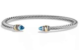 DIY titanium women039s twee kleur 18K vergulde roestvrij staaldraad armband eenvoudige open Bracelet9740829