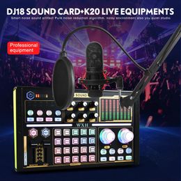 DJ18 Carte son Studio Enregistrement Mélangeur professionnel Chant Réduction du bruit Microphone Voix BM800 Diffusion en direct Mick Tok Musique 240110