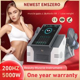 DLS-EMSLIM Stimulation musculaire du corps d'élimination des graisses amincissant la machine musculaire 13 Tesla 5000 W haute puissance EMSzero corps électromagnétique portable