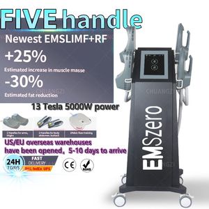 DLS-EMSZERO NEO Emszero RF Nova Beauty Items 13 Tesla 5000W HI-EMT Machine 4 RF Poignée Coussinet de stimulation pelvienne en option